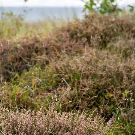 Сasa de vacaciones 2555-romo-a-m-listsvej-6 Tagholm